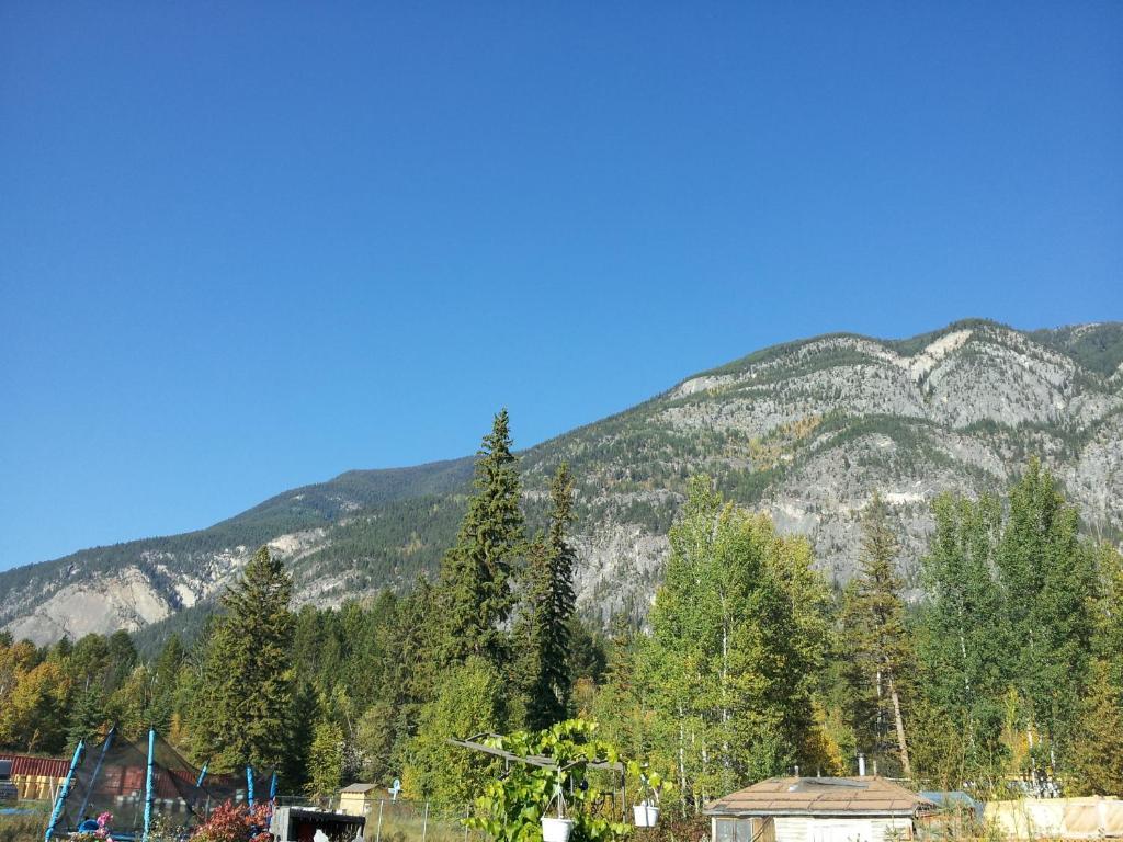 Steamboat Mountain Chalets Spillimacheen Bagian luar foto
